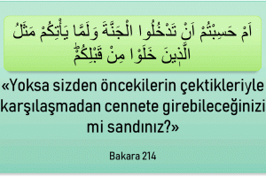 bakara-214